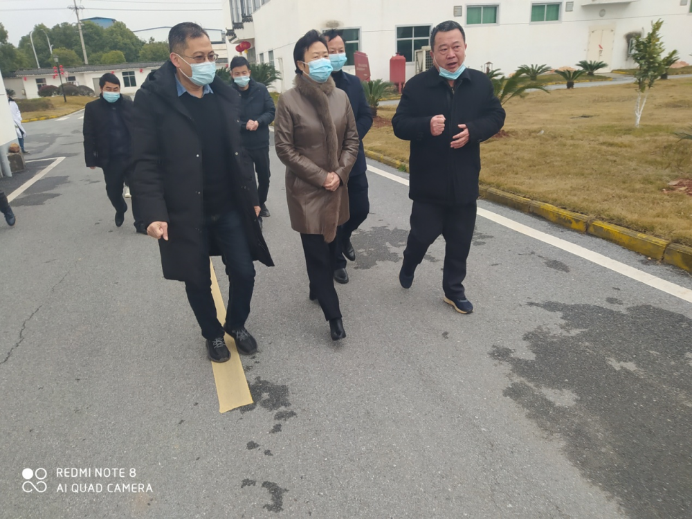 中共永丰县委书记邹卫梅莅临尊龙z6官方旗舰店集团视察复工复产事情